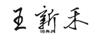 駱恆光王新禾行書個性簽名怎么寫