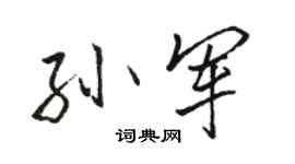 駱恆光孫軍行書個性簽名怎么寫