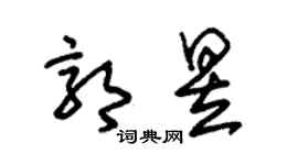 朱錫榮郭昱草書個性簽名怎么寫