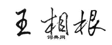 駱恆光王相根行書個性簽名怎么寫
