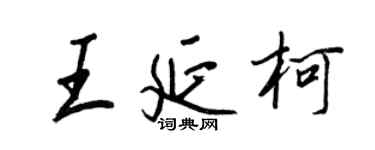 王正良王延柯行書個性簽名怎么寫