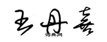 朱錫榮王丹喜草書個性簽名怎么寫