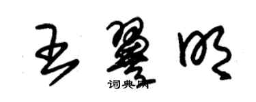 朱錫榮王翼明草書個性簽名怎么寫