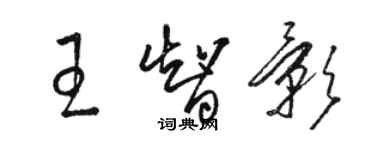 駱恆光王智影草書個性簽名怎么寫