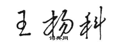 駱恆光王楊科草書個性簽名怎么寫