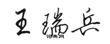 駱恆光王瑞兵行書個性簽名怎么寫