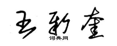 朱錫榮王新奎草書個性簽名怎么寫