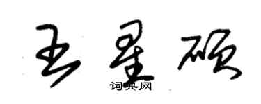 朱錫榮王星碩草書個性簽名怎么寫