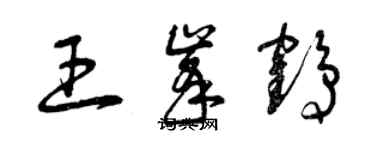 曾慶福王峰鶴草書個性簽名怎么寫