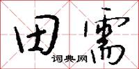 田需怎么寫好看