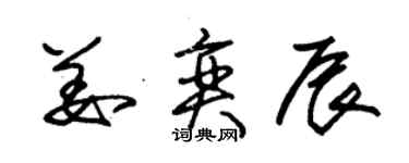 朱錫榮姜奕辰草書個性簽名怎么寫