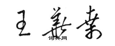 駱恆光王華桑草書個性簽名怎么寫