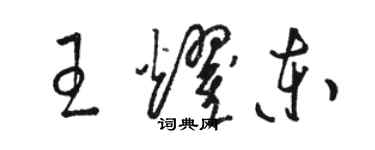 駱恆光王耀東草書個性簽名怎么寫