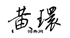 王正良黃環行書個性簽名怎么寫