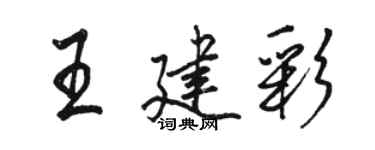 駱恆光王建彩行書個性簽名怎么寫