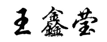 胡問遂王鑫瑩行書個性簽名怎么寫