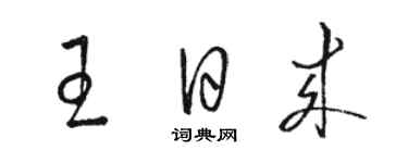 駱恆光王日來草書個性簽名怎么寫