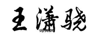 胡問遂王瀟驍行書個性簽名怎么寫
