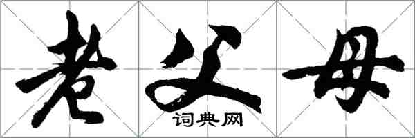 胡問遂老父母行書怎么寫