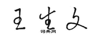駱恆光王生文草書個性簽名怎么寫