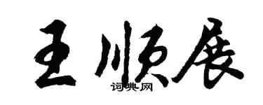 胡問遂王順展行書個性簽名怎么寫