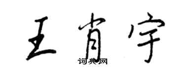 王正良王肖宇行書個性簽名怎么寫