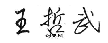 駱恆光王哲武行書個性簽名怎么寫