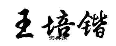 胡問遂王培鍇行書個性簽名怎么寫