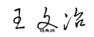 駱恆光王文冶草書個性簽名怎么寫