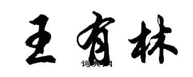 胡問遂王有林行書個性簽名怎么寫