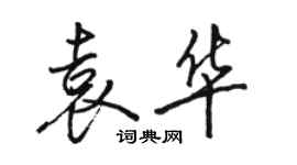 駱恆光袁華行書個性簽名怎么寫