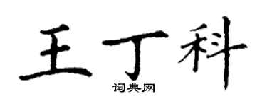 丁謙王丁科楷書個性簽名怎么寫