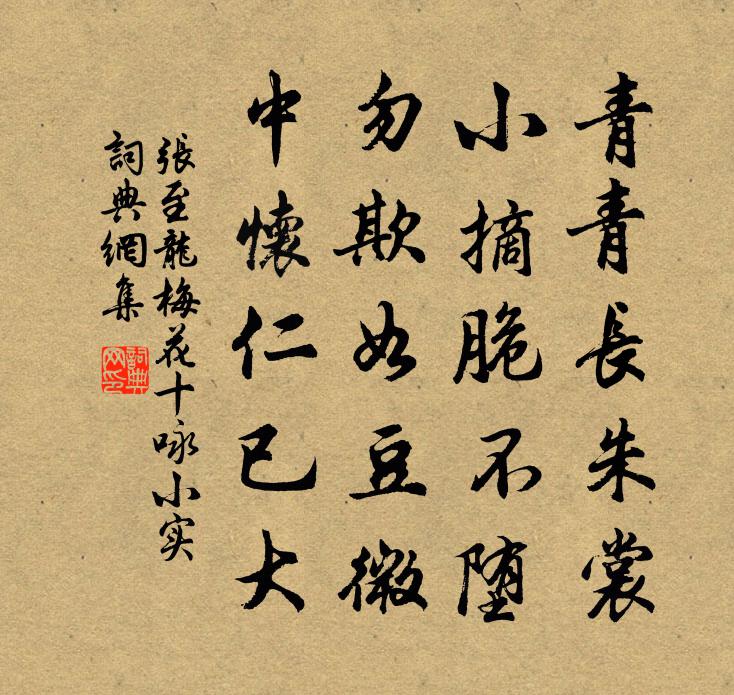 張至龍梅花十詠小實書法作品欣賞