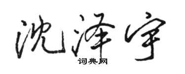 駱恆光沈澤宇行書個性簽名怎么寫