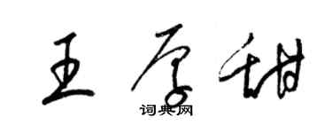 梁錦英王厚甜草書個性簽名怎么寫