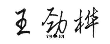 駱恆光王勁樺行書個性簽名怎么寫