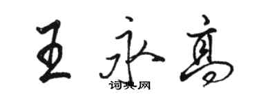 駱恆光王永高行書個性簽名怎么寫