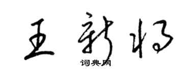 梁錦英王新將草書個性簽名怎么寫