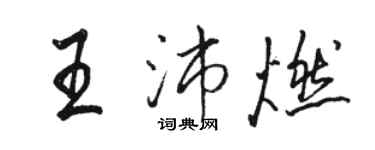 駱恆光王沛燃行書個性簽名怎么寫