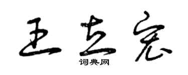 曾慶福王立宏草書個性簽名怎么寫
