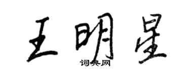 王正良王明星行書個性簽名怎么寫