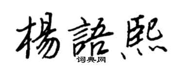 王正良楊語熙行書個性簽名怎么寫