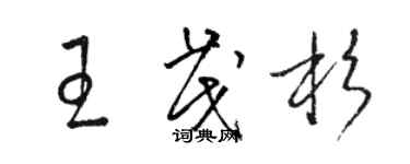 駱恆光王茂杉草書個性簽名怎么寫