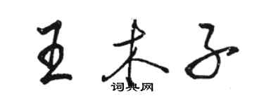 駱恆光王木子行書個性簽名怎么寫