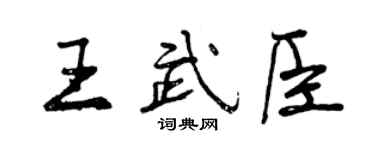 曾慶福王武臣行書個性簽名怎么寫