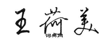 駱恆光王荷美行書個性簽名怎么寫