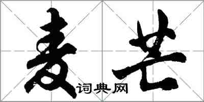 胡問遂麥芒行書怎么寫