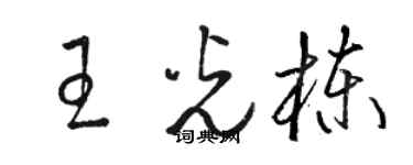 駱恆光王光棟草書個性簽名怎么寫