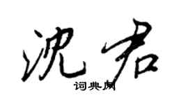 王正良沈君行書個性簽名怎么寫