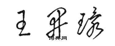 駱恆光王開環草書個性簽名怎么寫